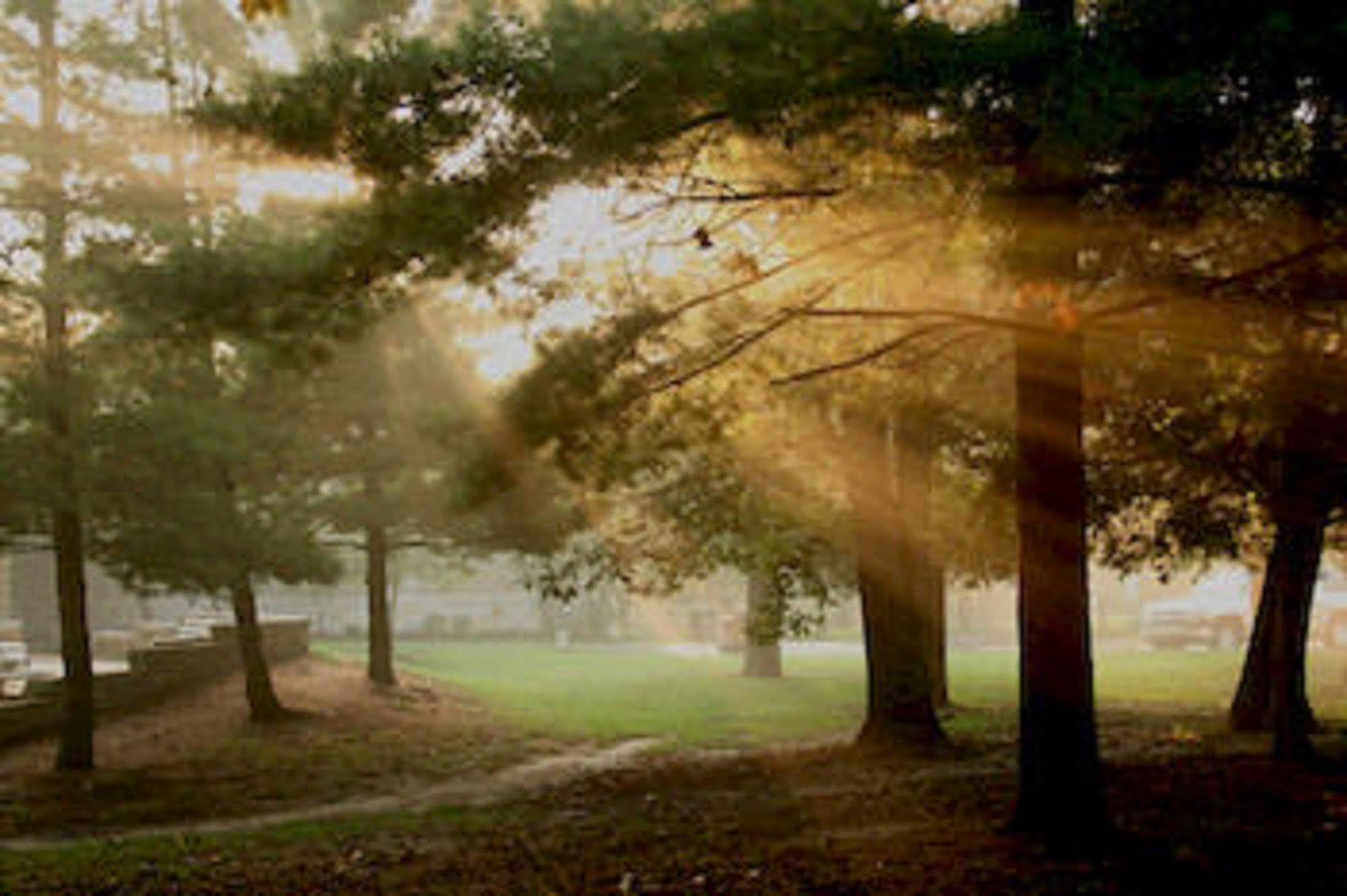 Starved Rock Lodge & Conference Center Utica Ngoại thất bức ảnh